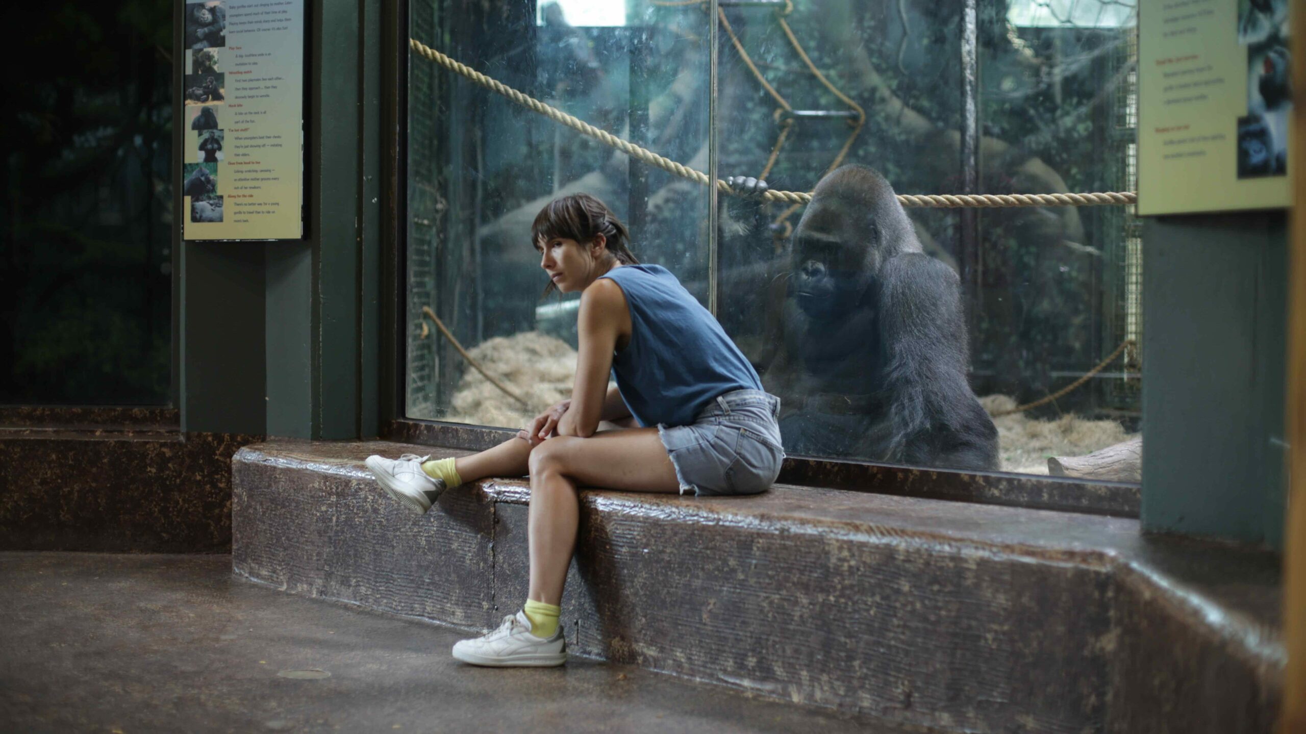 miriamjakob choreography zoo research 4 edited scaled